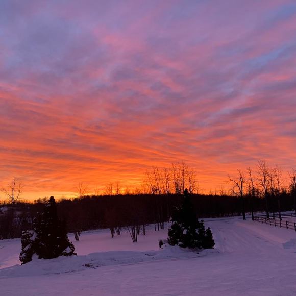 Meet your Posher, Cindy - Picture 1 of 1